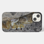 カニ、甲殻類、砂 iPhoneケース (裏面横)
