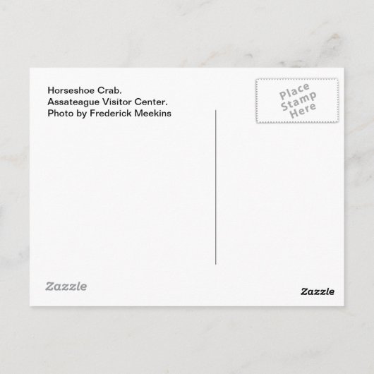 カニ#1 ポストカード (裏面)