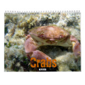 カニ(2010カレンダー) カレンダー (裏面)