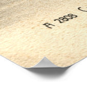 カヌオンチャトーカニューヨーク1905ヴィンテージ ポスター (角)