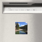 カヌメドウスカナスキス マグネット (インサイチュ (食洗機))