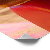 カヌー索具 ポスター (角)