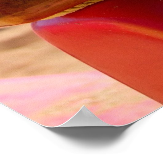 カヌー索具 ポスター (角)