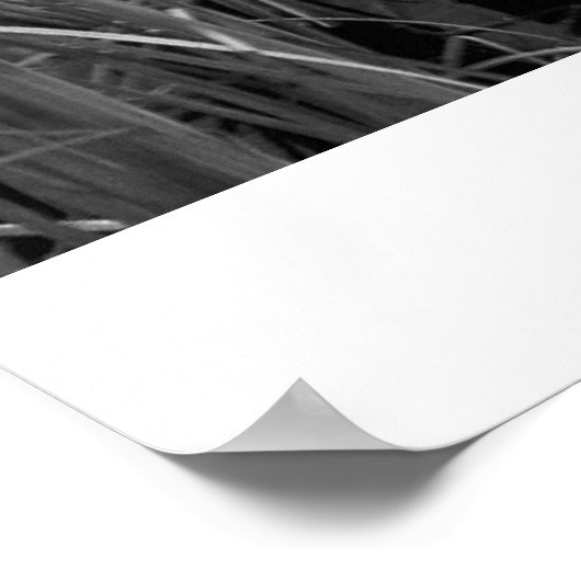 カヌー ポスター (角)