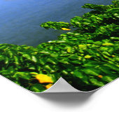 カネオヘベイプリント ポスター (角)