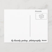 カネリー列 ポストカード (裏面)