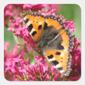 カノコガチョウの小さな亀 スクエアシール (正面)