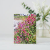 カノコソウ属の花 ポストカード (スタンド正面)