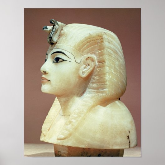 カノピーの小便器の一つからのストッパー ポスター (正面)