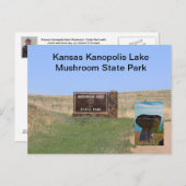 カノポリスレイクマッシュルーム州パークポストカード ポストカード (正面/裏面)