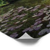 カノンボールヒッポ ポスター (角)