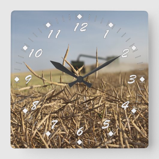 カノーラ収穫 スクエア壁時計 (正面)