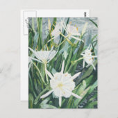 カハバリリーはがき ポストカード (正面/裏面)