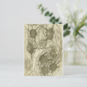 カハルのニューロン6 ポストカード (スタンド正面)