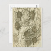 カハルのニューロン6 ポストカード (正面/裏面)