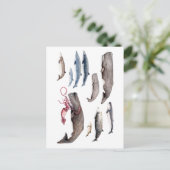 カハロッテ・イ・ジフィオス:バレナス・デ・ラス・プロファンディダーズ ポストカード (スタンド正面)