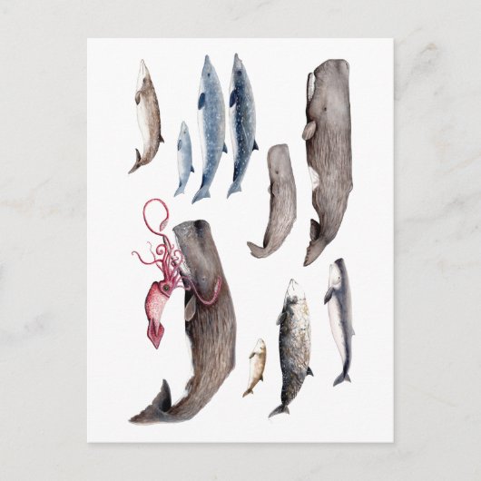 カハロッテ・イ・ジフィオス:バレナス・デ・ラス・プロファンディダーズ ポストカード (正面)