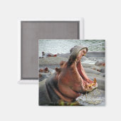 カバあくびをする マグネット (正面/裏面)