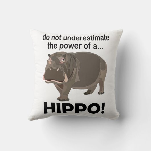 カバおもしろいイ クッション (裏面)