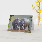 カバのペア カード (黄色い花)