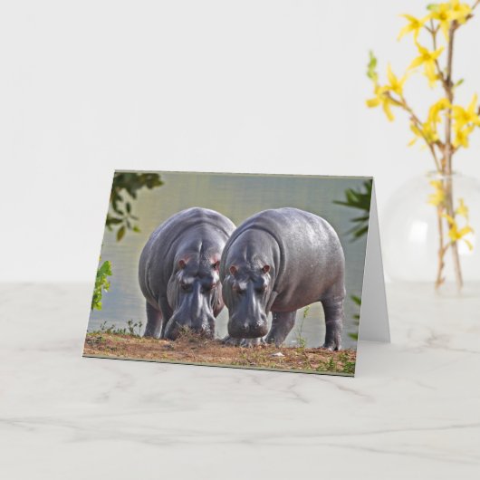 カバのペア カード (黄色い花)