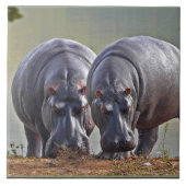 カバのペア タイル (正面)