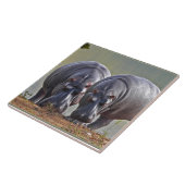 カバのペア タイル (側面)