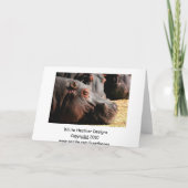 カバの態度のカスタマイズ可能なカード カード (裏面)