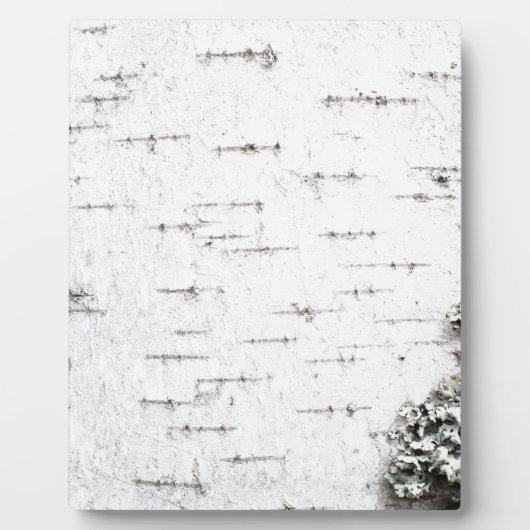 カバの樹皮 フォトプラーク (正面)