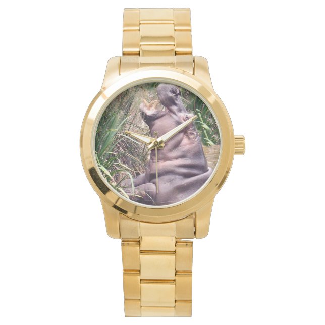 カバは登ろうとしている。 腕時計 (正面)