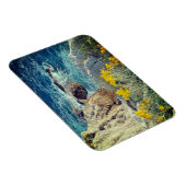 カバットロッキービーチビューホリデイ マグネット (右側)