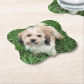 カバポコアスター ペーパーコースター (アングル)