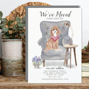 カバポ犬 お知らせ 案内状