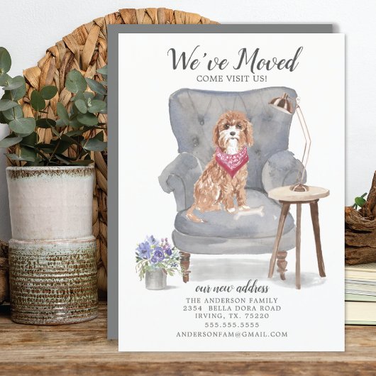 カバポ犬 |お知らせ 案内状