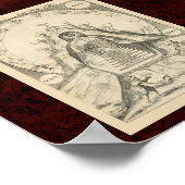 カバラとアルキミア： 1663アルケミカルイラストレーション ポスター (角)