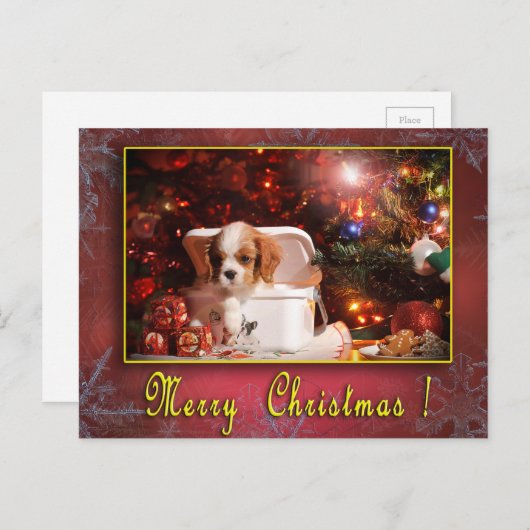 カバリエのクリスマスカード シーズンポストカード (正面/裏面)