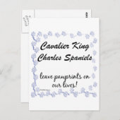 カバリエの足跡 ポストカード (正面/裏面)