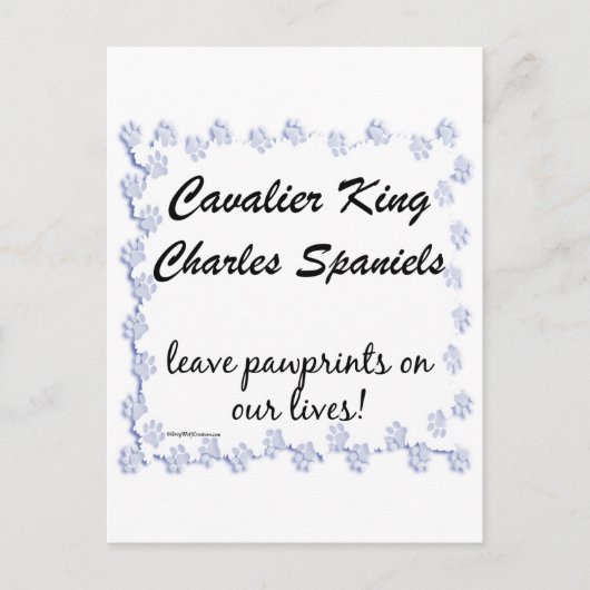 カバリエの足跡 ポストカード (正面)