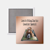 カバリエスパニエル犬ポポウトアート冷蔵庫用マグネット マグネット (正面/裏面)