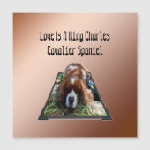 カバリエスパニエル犬ポポウトアート、磁気カード (正面)