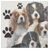 カバリエスパニエル犬布 ファブリック (クローズアップ)
