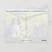 カバリエールキングシャルルポストクロッシング – ポストカード (裏面)