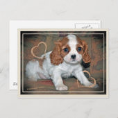 カバリエールキングシャルルラブ ポストカード (正面/裏面)