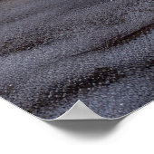 カバリエールキングスノーウィースリークリスマスデコール ポスター (角)