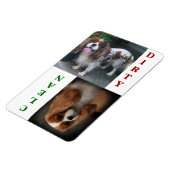 カバリエールキングチャールズスカーレット食洗機マグネット マグネット (左側)