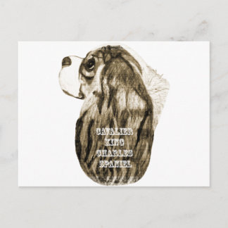 カバリエールキングチャールズスパニエル犬アンティークプロフィール ポストカード