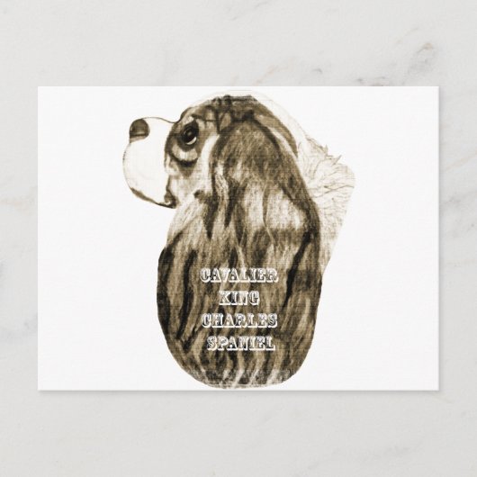 カバリエールキングチャールズスパニエル犬アンティークプロフィール ポストカード (正面)
