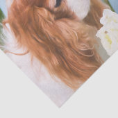 カバリエールキングチャールズスパニエル犬ウィズアジサイ 薄葉紙 (詳細)