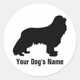 カバリエールキングチャールズスパニエル犬キャバリア ラウンドシール