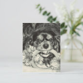 カバリエールキングチャールズスパニエル犬クボーン ポストカード (スタンド正面)